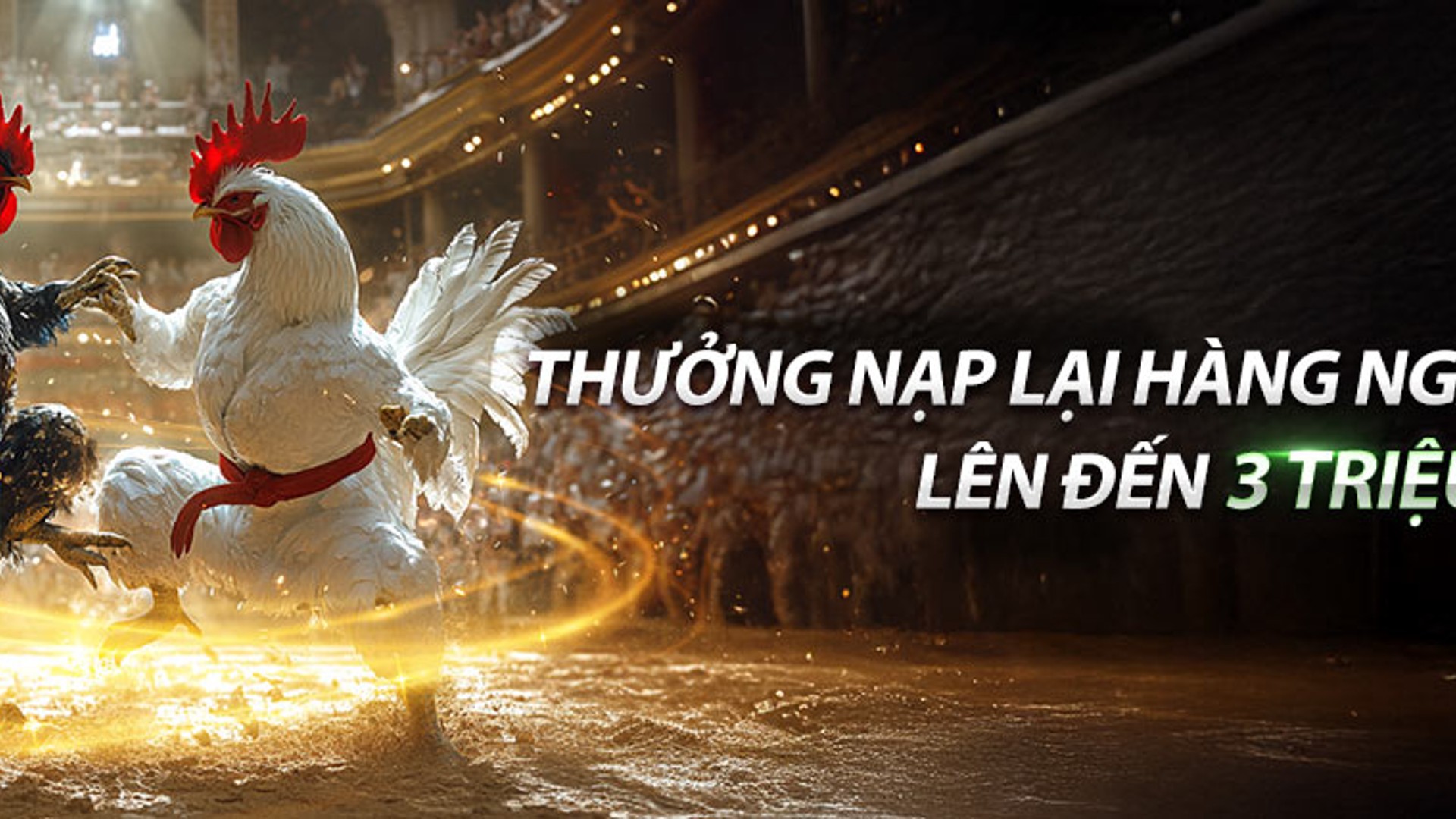 Sân bóng rổ với khán giả cổ vũ sôi động