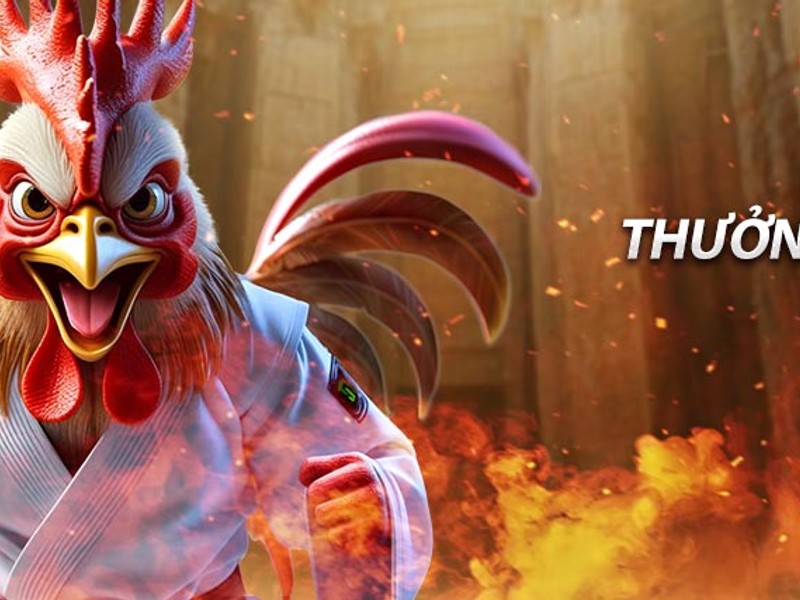 Hình ảnh minh họa giấy phép hoạt động hợp pháp của KC88 và K88C, biểu tượng an toàn và tin cậy trong cá cược trực tuyến